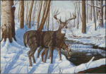 (image for) Winter Bliss